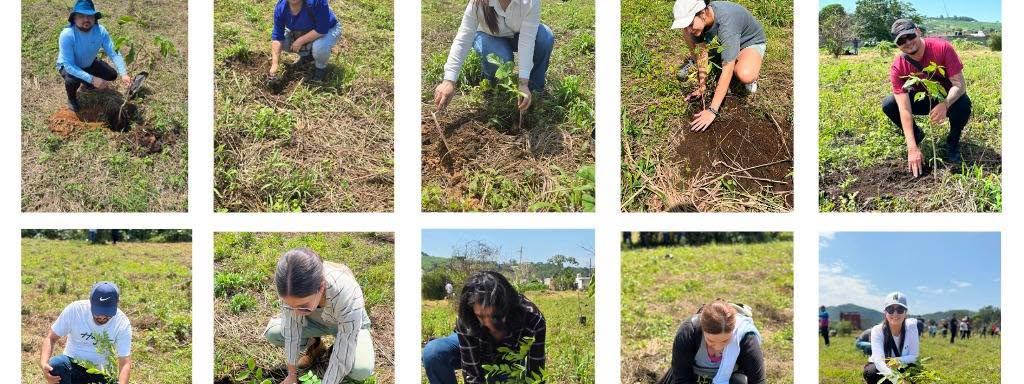 Secretaría del Trabajo se une a la Jornada Nacional de Reforestación 2026