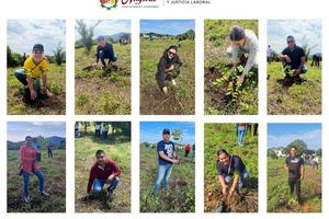 Secretaría del Trabajo se une a la Jornada Nacional de Reforestación 2026