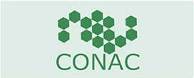 icon link